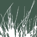 Spinifex Land Access & Environment logo