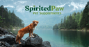 Spirited Paw logo