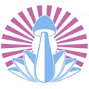 Spirit Molecule logo