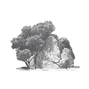 Spirit Rock   An Insight Meditation Center logo