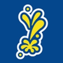 Favicon of Splash Australia