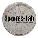 Sporeslab logo