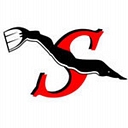 sportalsub.net logo