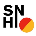sportnews-hildesheim.de logo