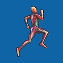 Sportscare Physical Therapy logo