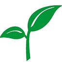 Spring Bank Ny logo