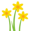 Springdene Nursing and Care Homes Limited