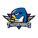 Springfield Thunderbirds Foundation Inc logo