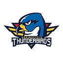 Springfield Thunderbirds logo
