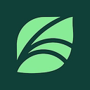 Spring Health logo
