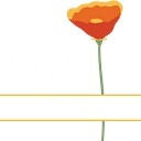 Spring Hill School logo