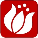 springimport.com logo