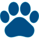 Spring Lake CCSD 606 logo