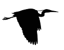 Spring Lakes Golf logo