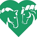 Spring Reins Of Life   Horses, Humans & Healing (501c3) logo