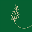 Springriver Private Foundation Trust logo