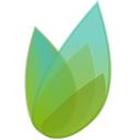 SpringTime Ventures  logo