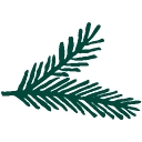 Spruce Point Assisted Living logo