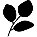 sprucehome.shop icon