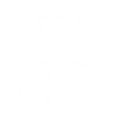 Spruce Infotech Inc logo