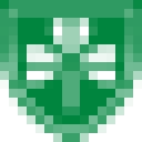 Diocese of Dallas Schools