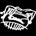 Squint logo
