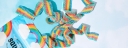 Squish Candy logo
