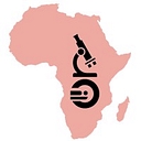 Sub Saharan Africa Healthcare Initiative logo