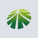 Ningbo Shanshan Co logo