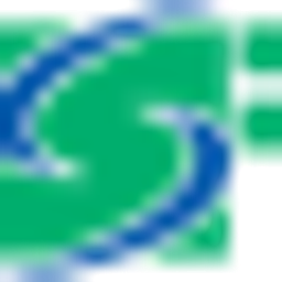 SSN Group LLC logo