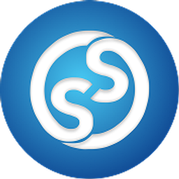 SS Software Solutions, LLC logo