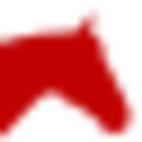 Schneider Saddlery logo