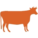 Software Hiring Website