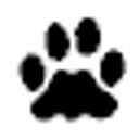 Save The Animals Foundation logo