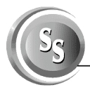 Staffing Solutions logo