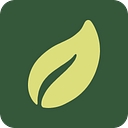 Stallant Health logo