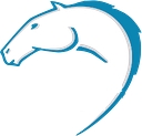 Stallion Express Llc logo