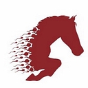 Stallion Ai Services logo