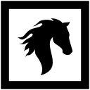 Stallion Capital Management logo