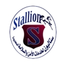 Stallion Security  Ltd. logo