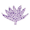Stancombe Research + Planning logo