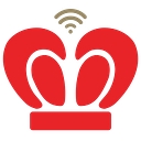 Standard Business Solutions logo