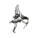 Standard Co logo