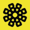 Standard 8 logo