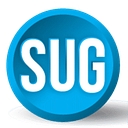 Stand Up Guys Moving and Junk Removal