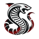 Stang Thang Custom Mustangs logo