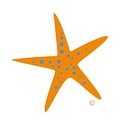 The Star Trust logo