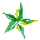 Starcorp Energy logo