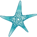 Starfish Hospitality Group