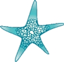 Starfish Laguna, Llc logo